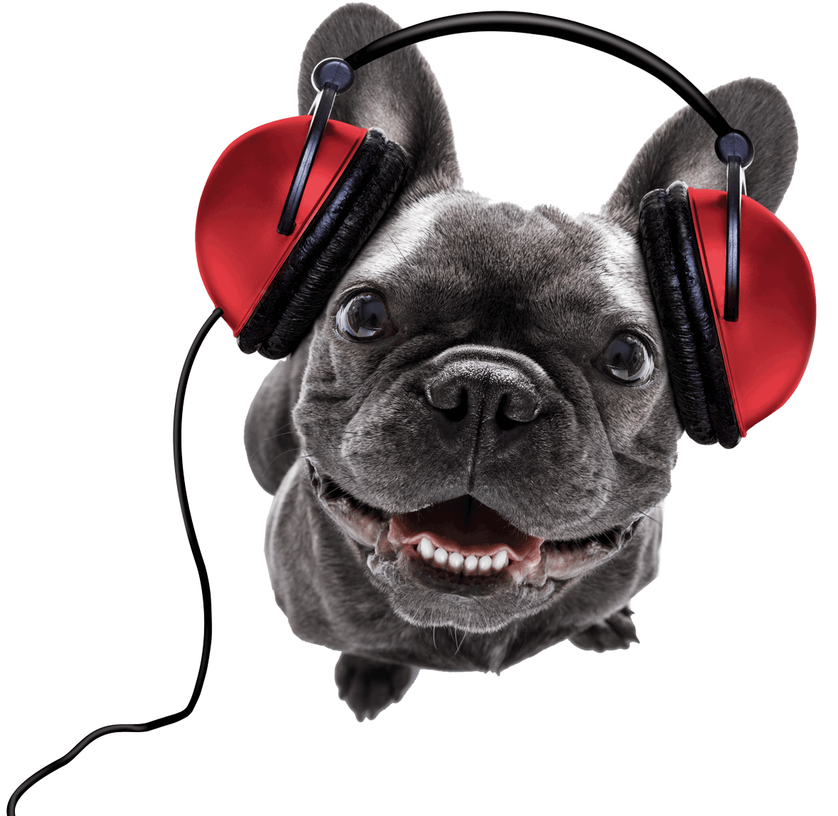 mediamagneten – Listen on Spotify